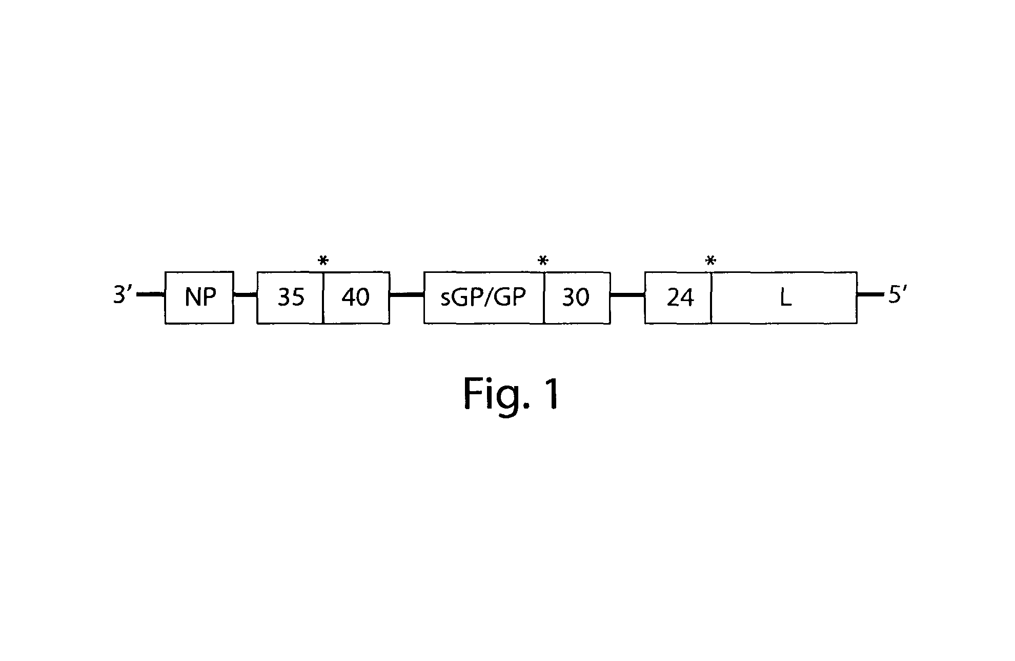 Inhibitors of filovirus entry into host cells