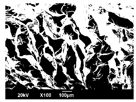 Method for preparing medicine-carrying wound dressing based on supercritical fluid technology