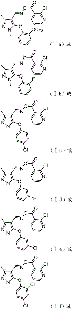 Preparation and application of pyrazole oxime ester compound containing 2-chloropyridine structure