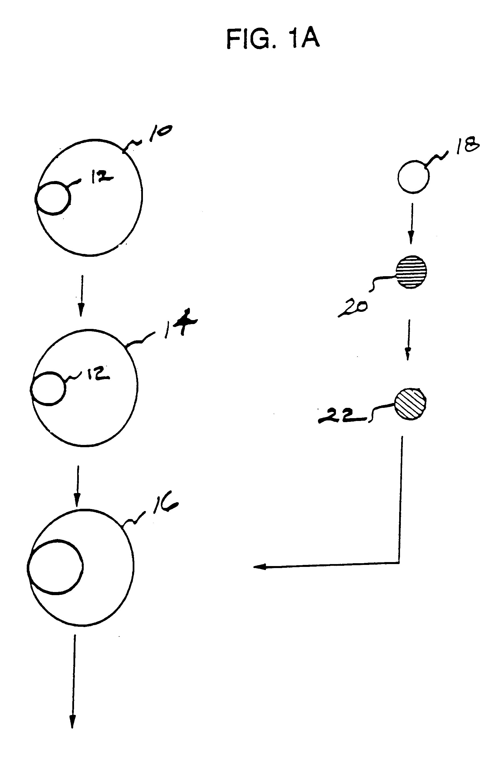 Selection methods