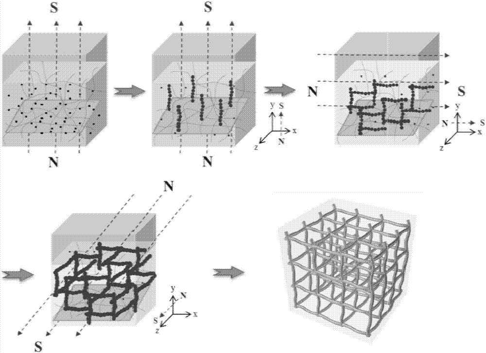 Three-dimensional metal nanowire and preparation method thereof