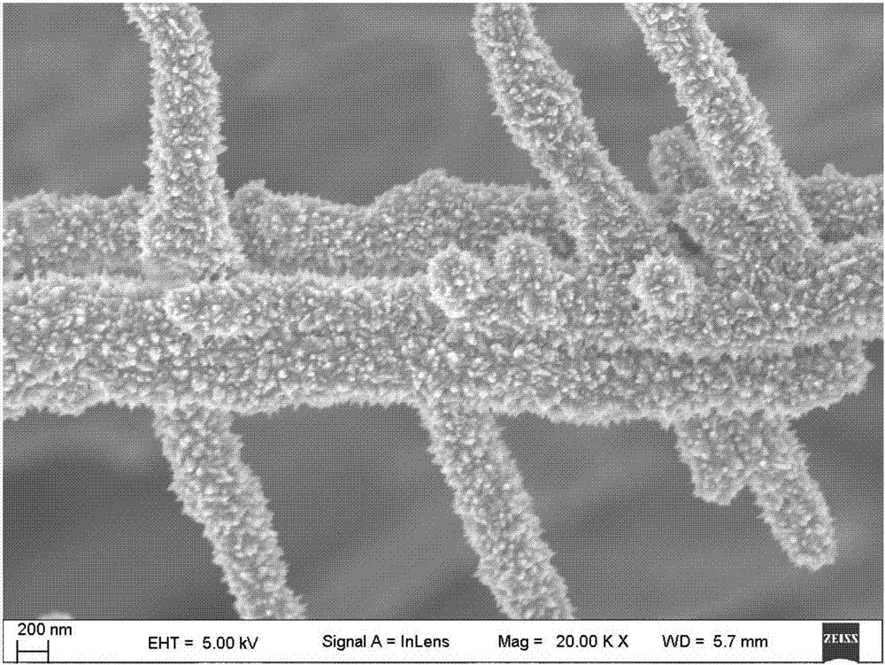 Three-dimensional metal nanowire and preparation method thereof