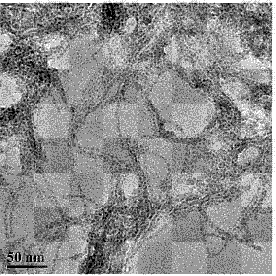 Preparation method of bismuth tungstate quantum dot and preparation method of bismuth tungstate quantum dot-graphene composite material