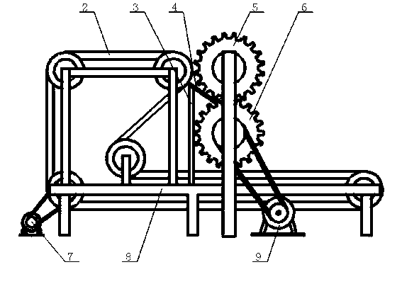 Blueberry tea and preparation method thereof