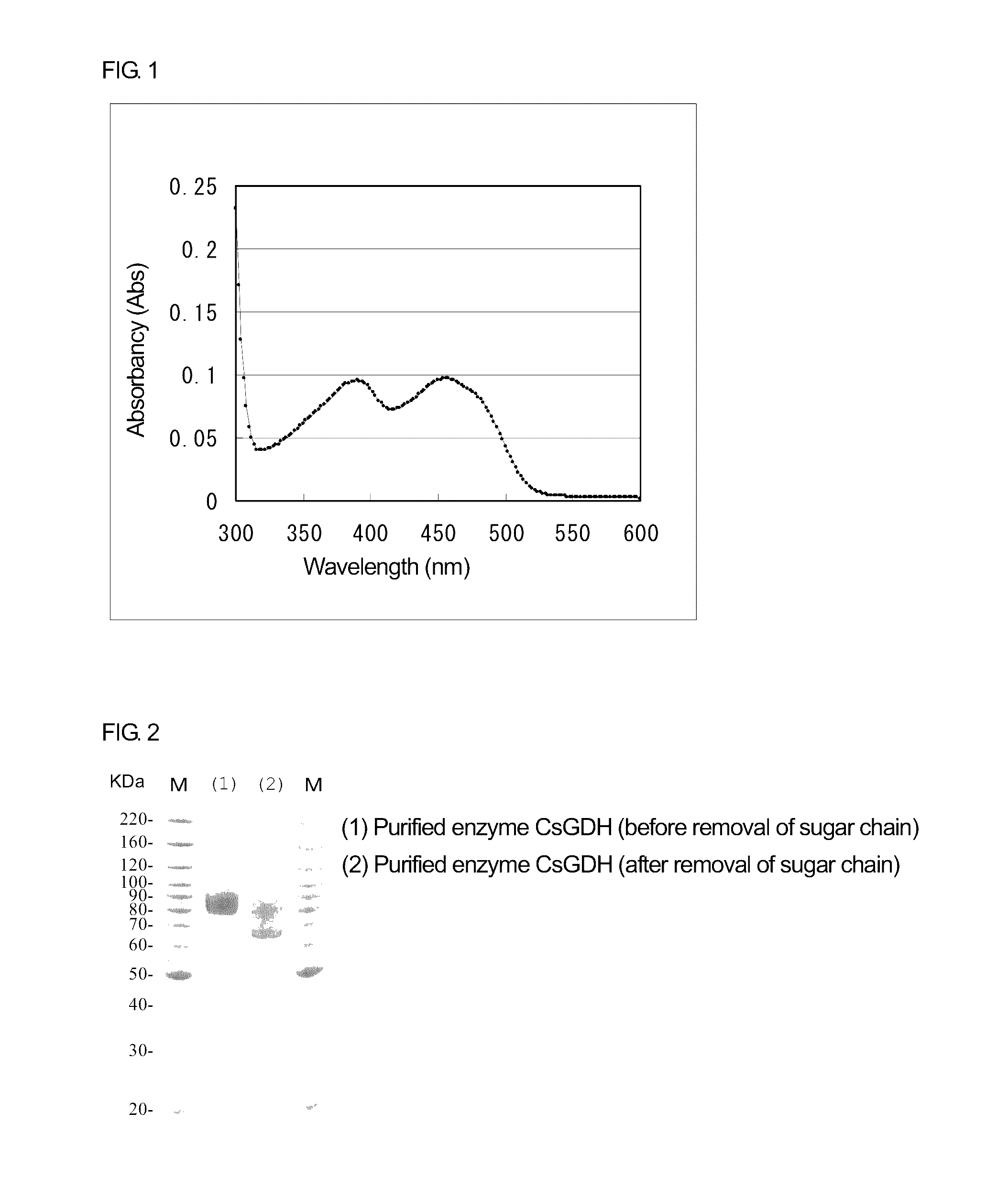 Glucose dehydrogenase