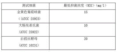 Nanosilver loaded adsorption carrier and preparation method thereof