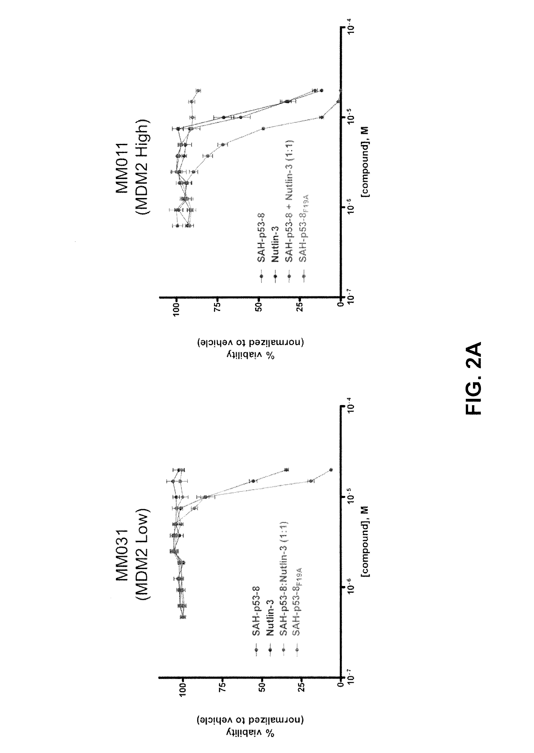 Combinations of therapeutic agents for treating melanoma