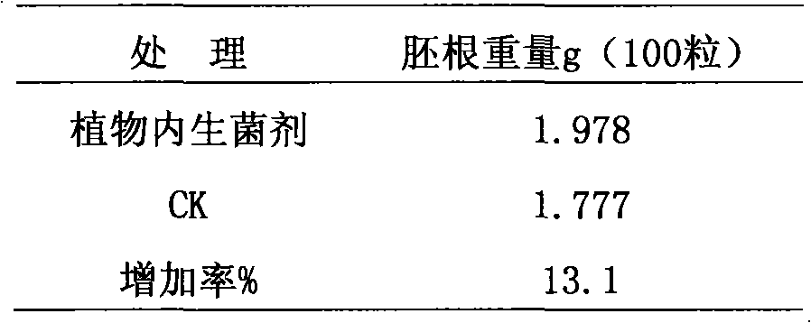 Endophytic bacterial agent for promoting cucumber growth and preventing fusarium wilt of cucumber