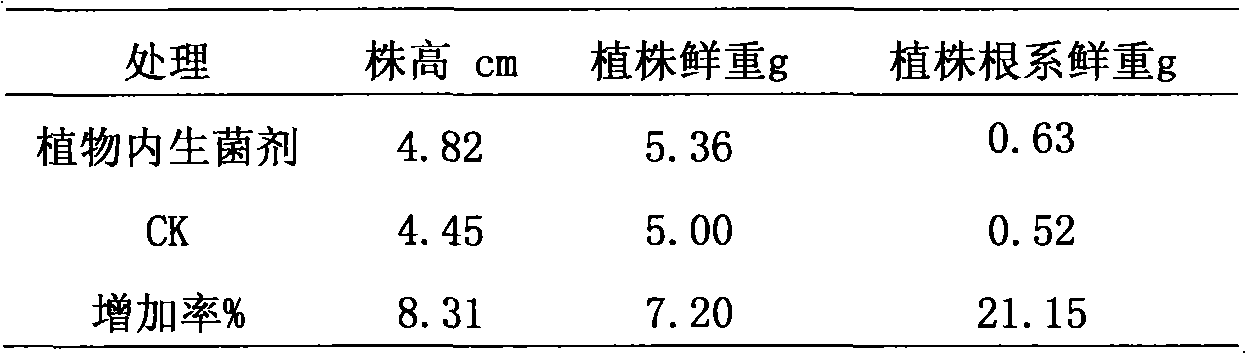 Endophytic bacterial agent for promoting cucumber growth and preventing fusarium wilt of cucumber