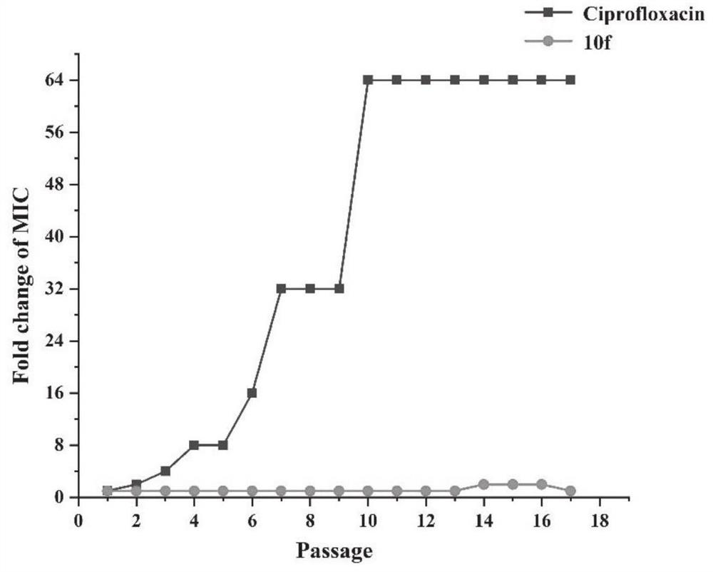 Aromatic heterocycle substituted acridine quaternary ammonium salt derivative as well as preparation method and application thereof