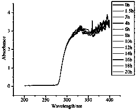 Method for detecting Escherichia coli in milk based on ultraviolet-visible spectrum technology