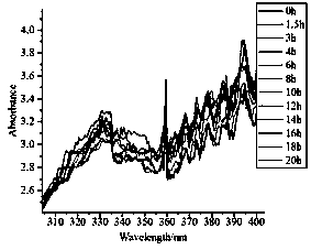 Method for detecting Escherichia coli in milk based on ultraviolet-visible spectrum technology