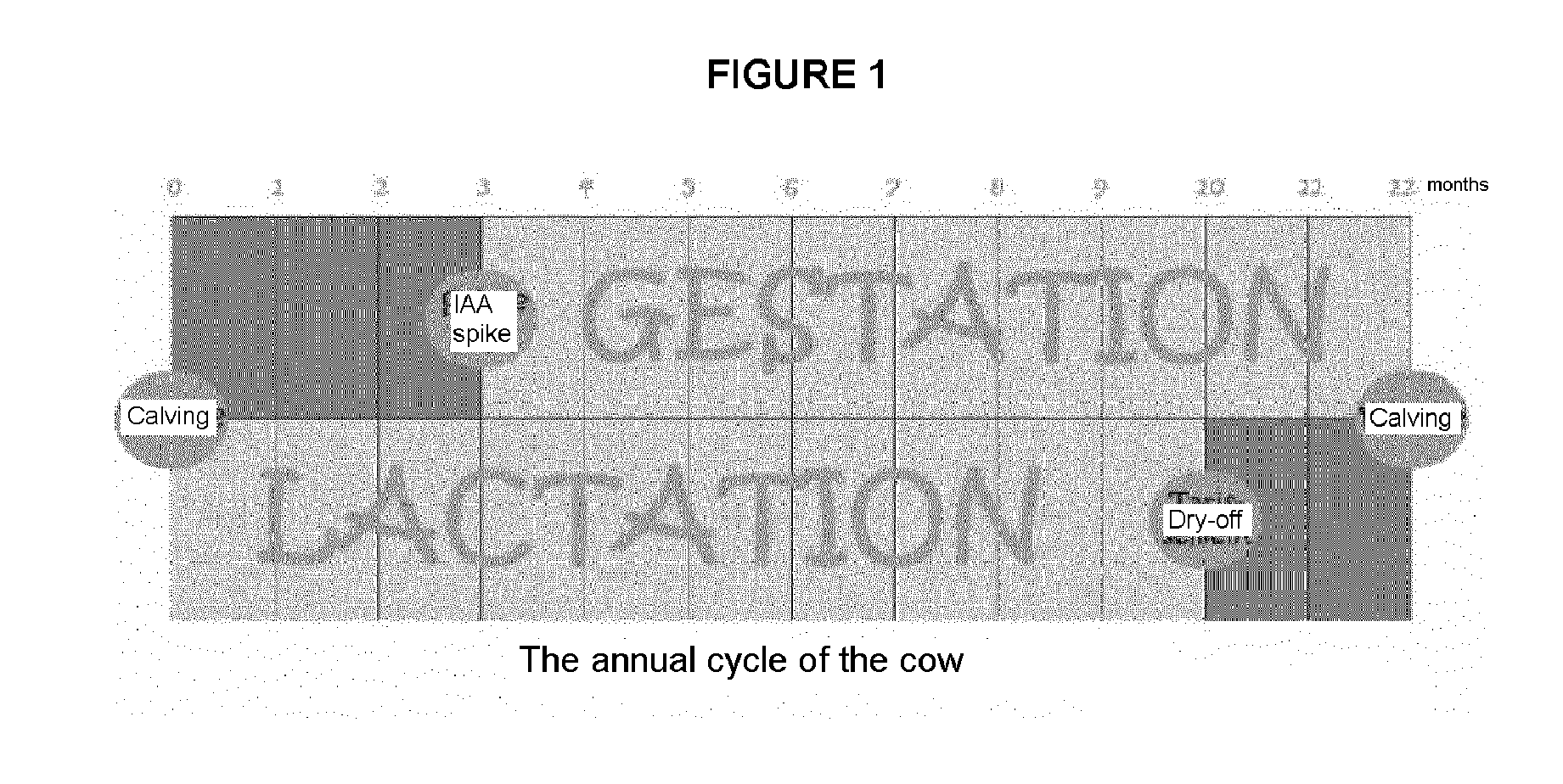 Veterinary Anti-prolactin composition for ruminants