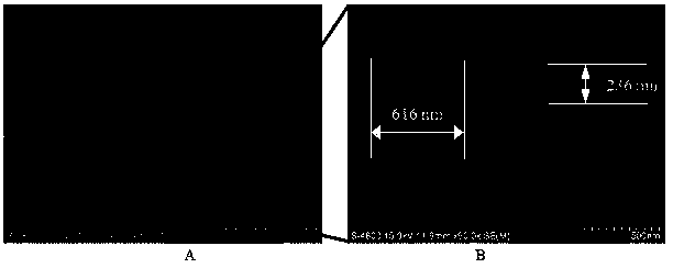 Method for preparing two-dimensional periodic metal particle array structure through dual-wavelength femtosecond lasers