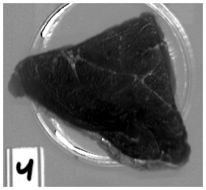 A method based on hyperspectral image processing to improve the accuracy of authenticity identification of meat sources