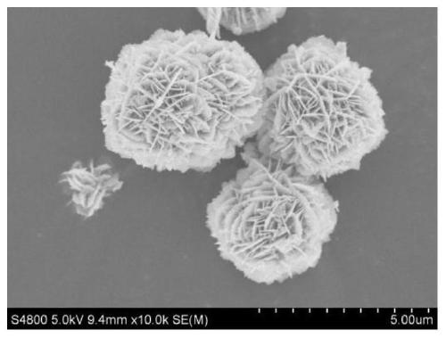 Hydrangea-like zinc oxide@copper sulfide and preparation method thereof