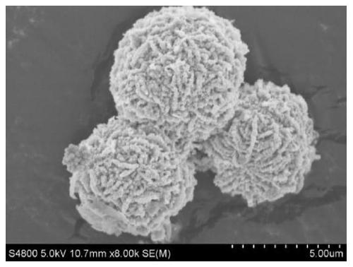 Hydrangea-like zinc oxide@copper sulfide and preparation method thereof