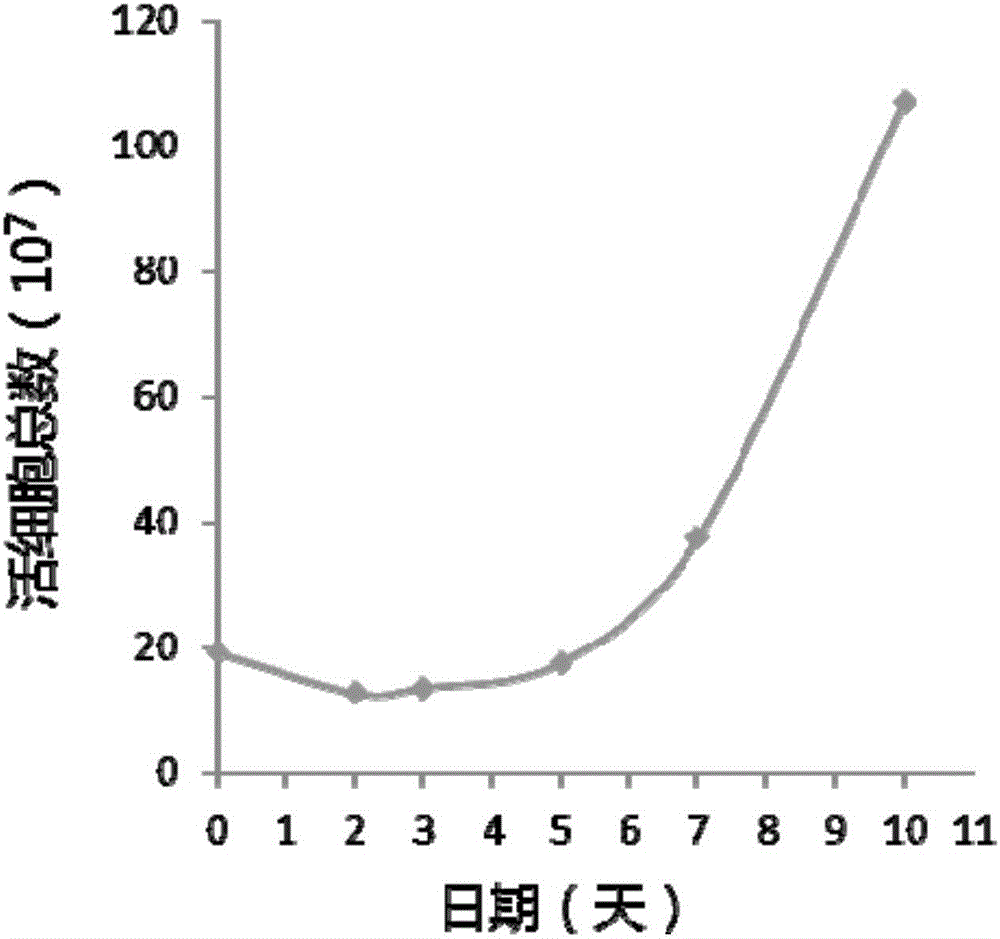 Method for preparing chimeric antigen receptor-T (CAR-T) cells, and prepared CAR-T cells and application thereof