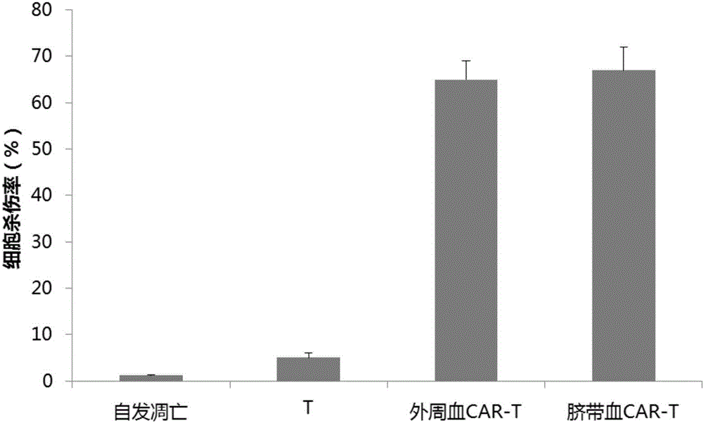 Method for preparing chimeric antigen receptor-T (CAR-T) cells, and prepared CAR-T cells and application thereof