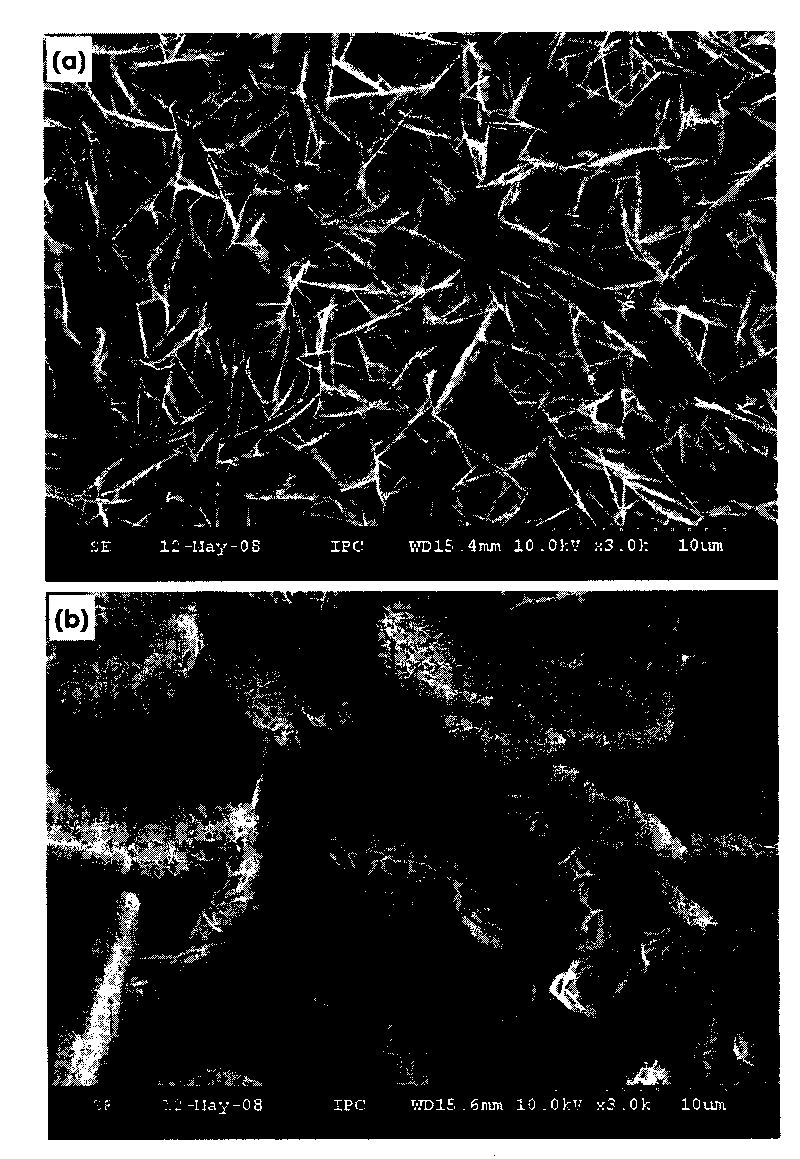 Method for preparing aluminum-doping zinc oxide nanometer sheet with photo-catalysis function