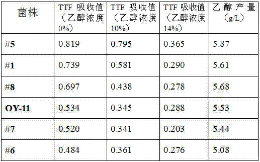 Quantitative high-vitality yeast cell screening method based on TTC (2,3,5-triphenyltetrazolium chloride) staining method