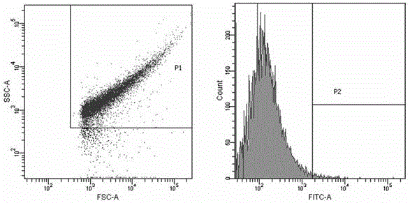 Preparation method of recombinant porcine epidemic diarrhea virus antibody