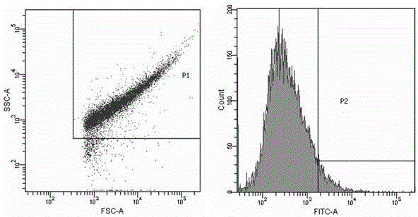 Preparation method of recombinant porcine epidemic diarrhea virus antibody