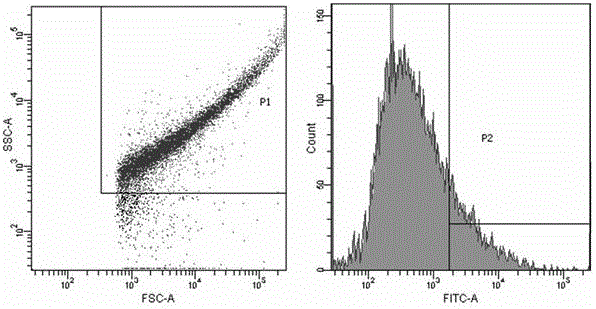 Preparation method of recombinant porcine epidemic diarrhea virus antibody