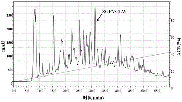 Purple perilla seed anti-oxidizing heptapeptide and preparation method of same