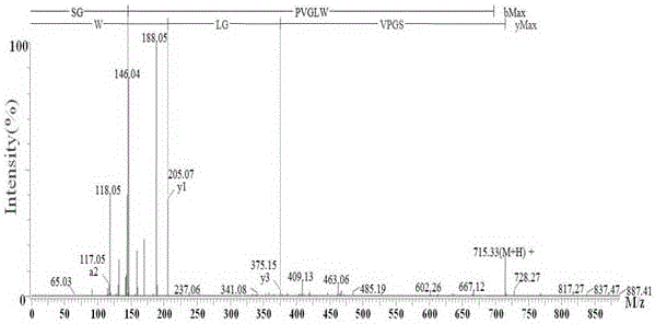 Purple perilla seed anti-oxidizing heptapeptide and preparation method of same