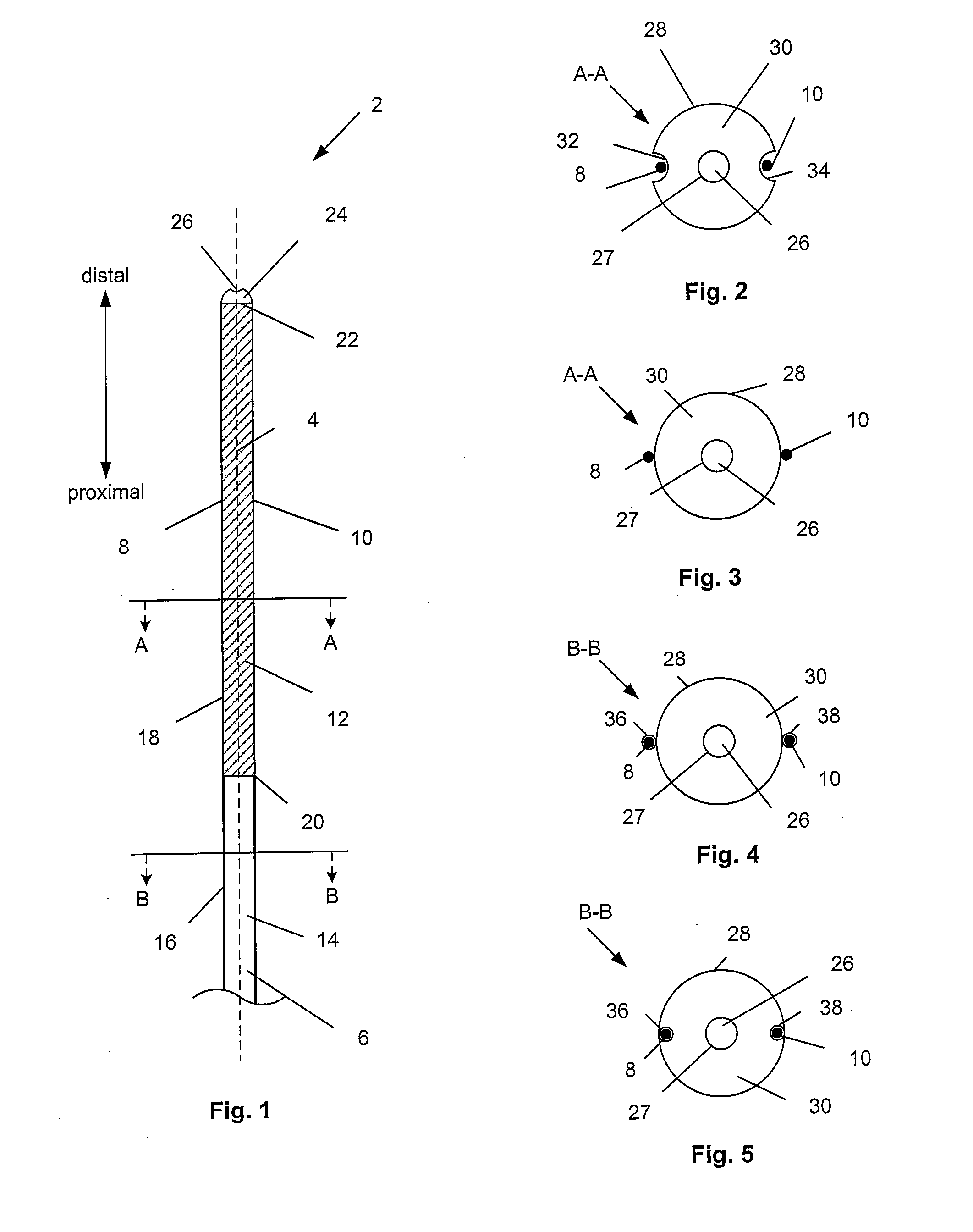 Anatomical measurement tool