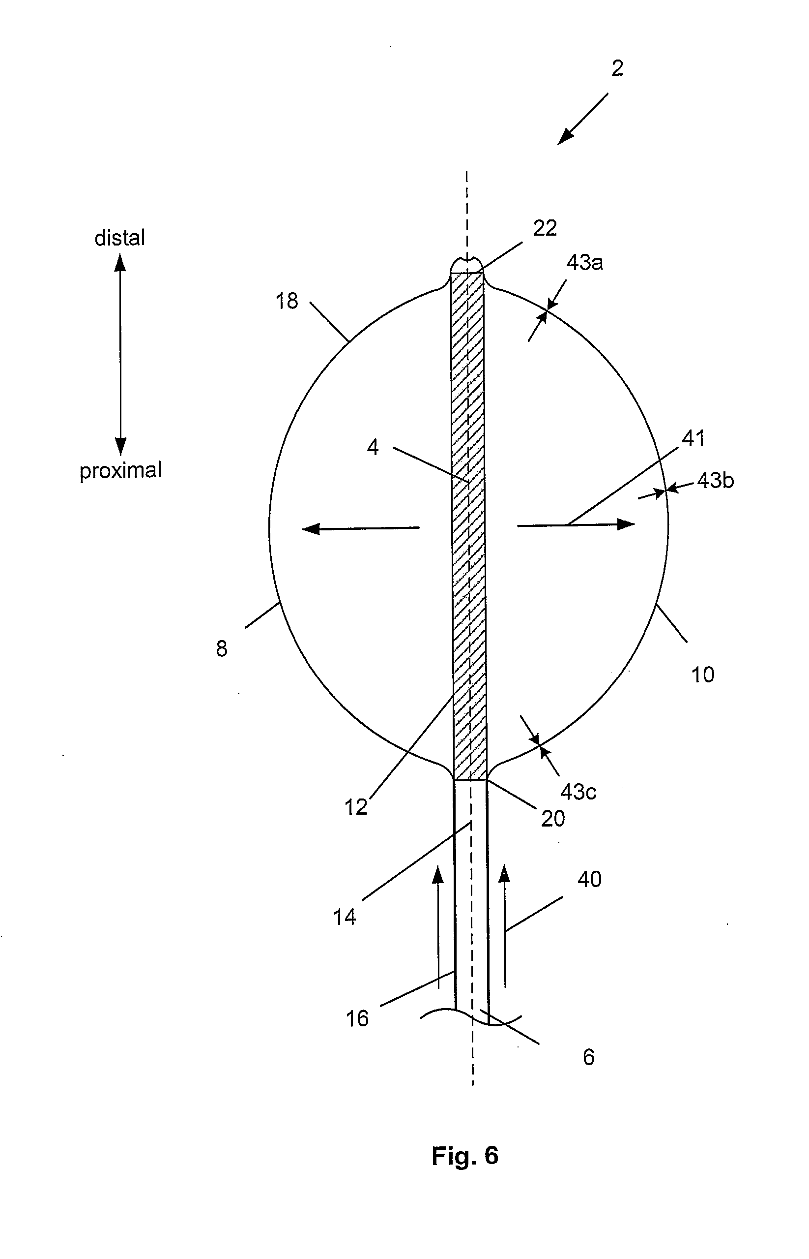 Anatomical measurement tool