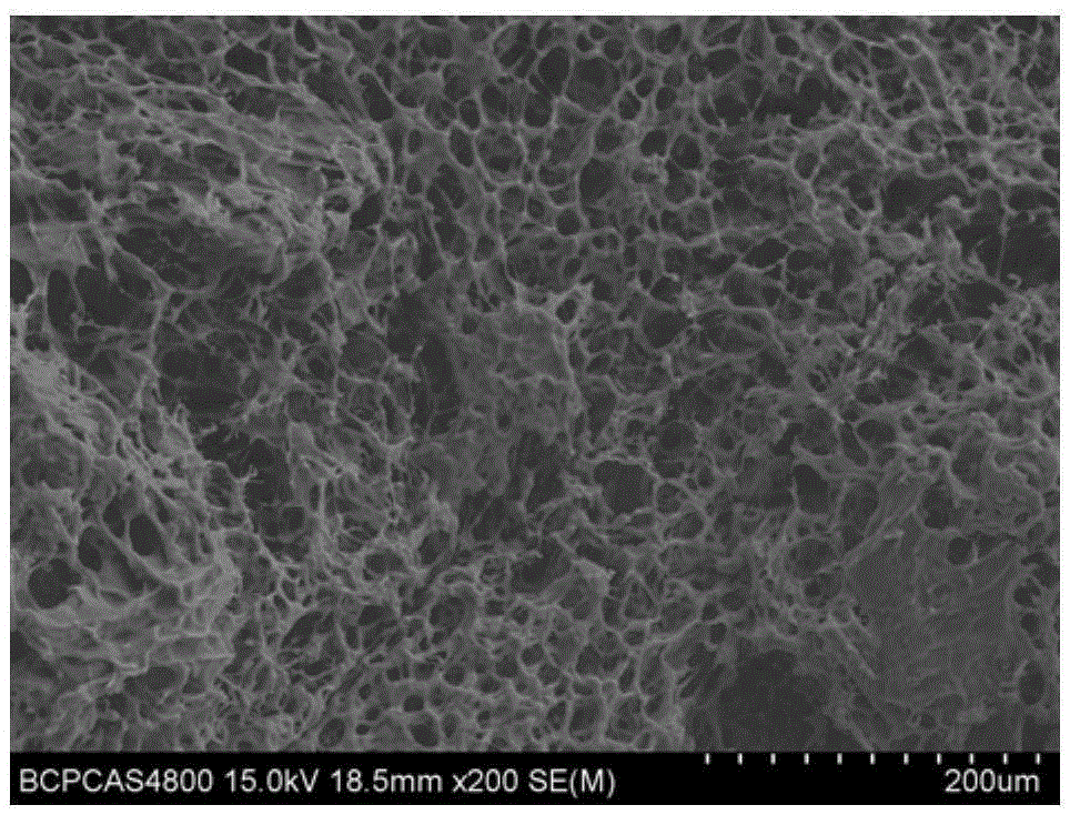 Cartilage tissue engineering scaffold and preparation method thereof