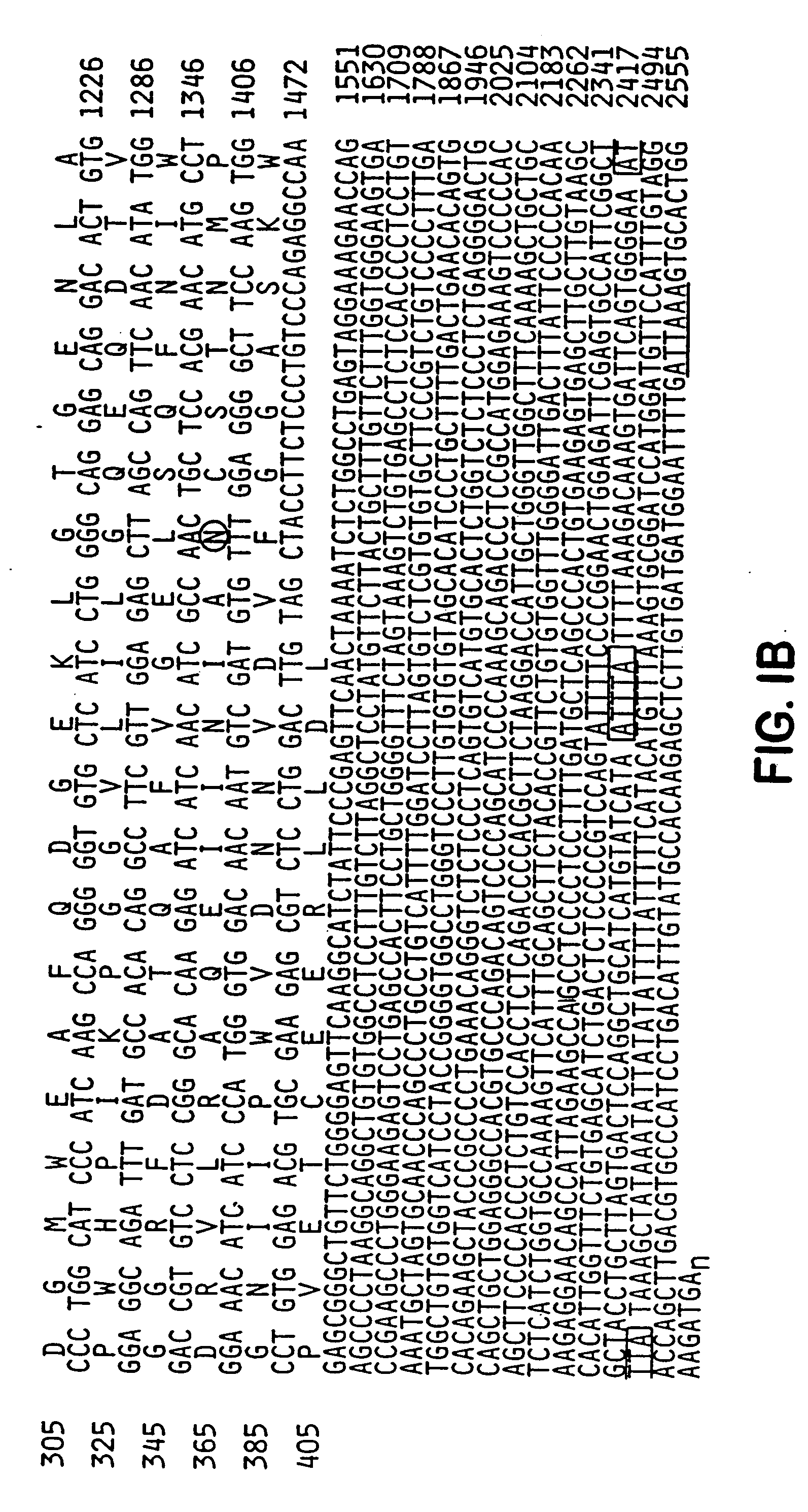 Method for identifying compounds which affect synaptogenesis