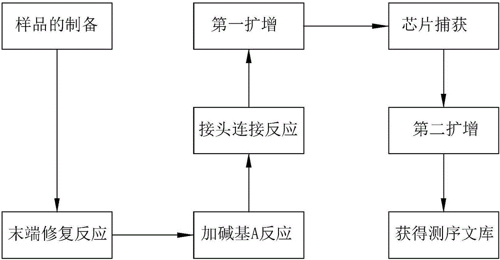 Kit, library building method, and method and system for detecting variation of object region