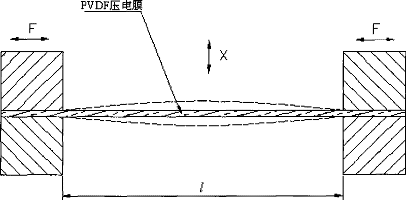 Tapping type high-sensitivity SPM feeler based on PVDF and measurement method