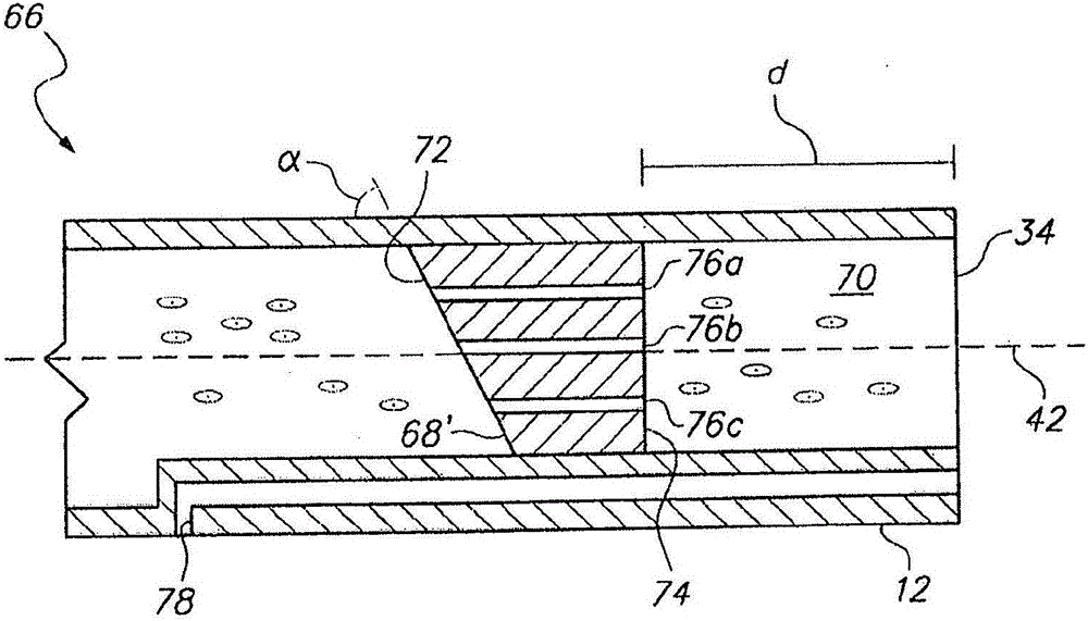 Infusion catheter tip for biologics with reinforced external balloon valve