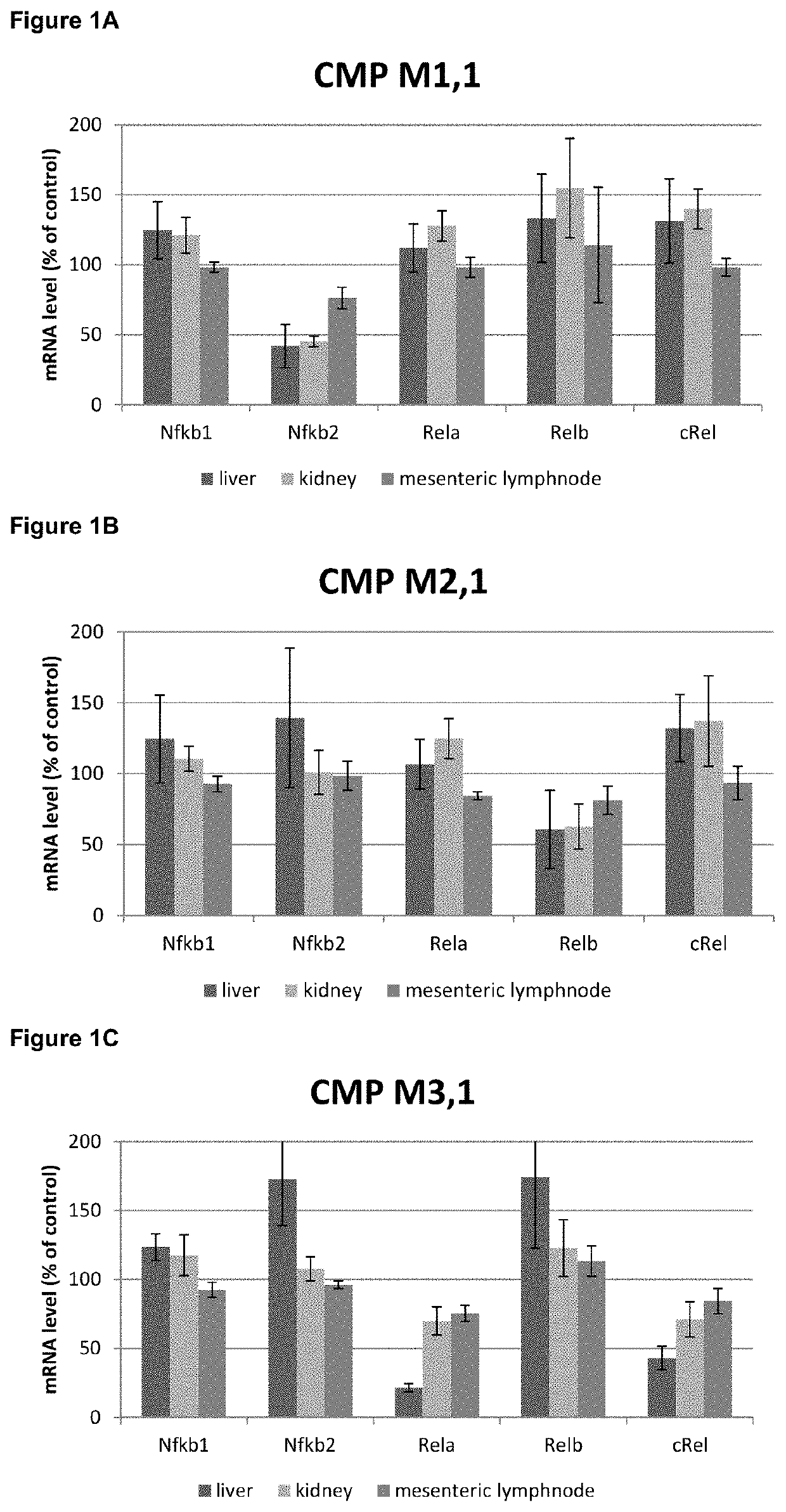 Antisense oligonucleotides for modulating rela expression