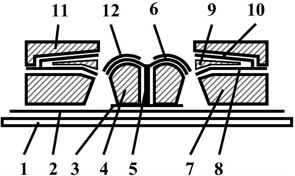 Luminous display with round tip-shaped double-gate controlled spring water-sprayed cathode structure