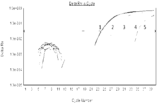 Method for quickly detecting duck-derived components in food