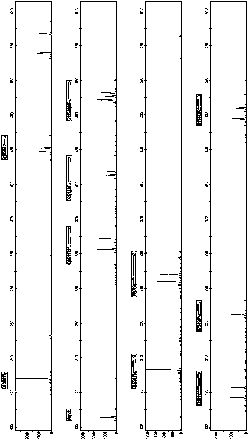 New Short Nucleotide Tandem Repeat Sequence Site and Its Application