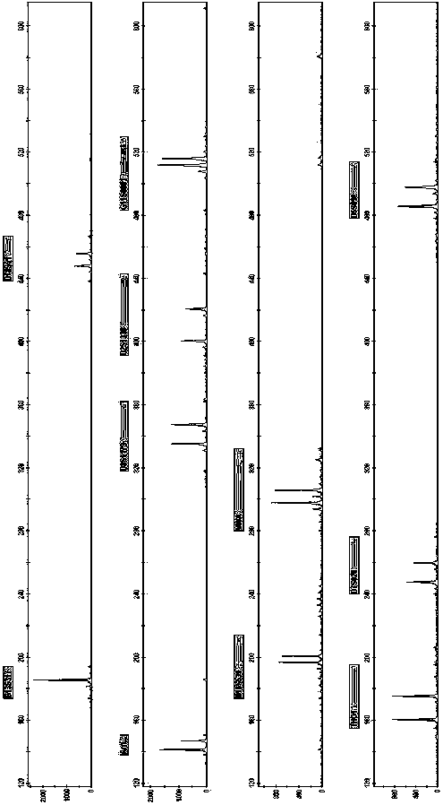 New Short Nucleotide Tandem Repeat Sequence Site and Its Application