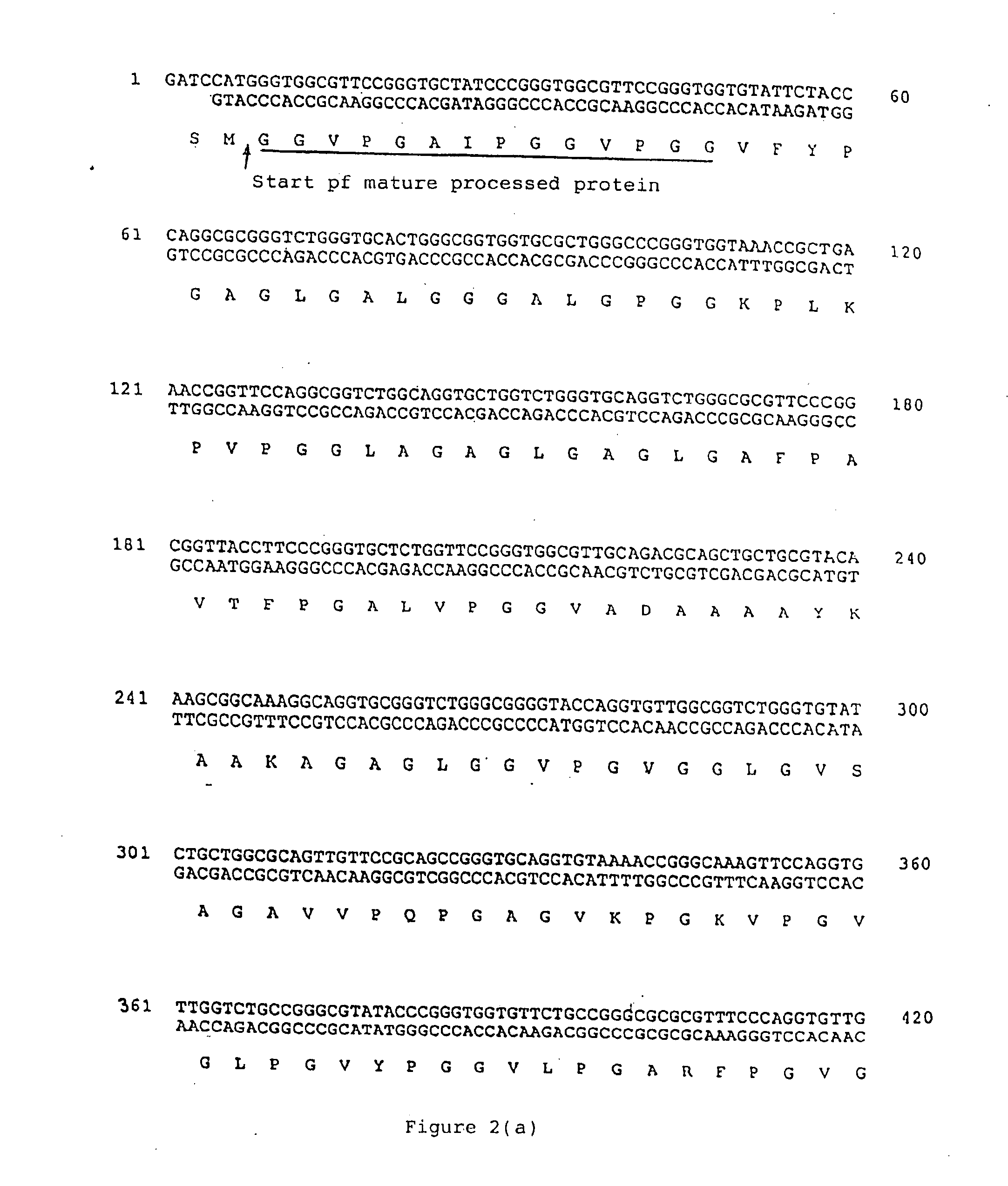 Protease susceptibility II