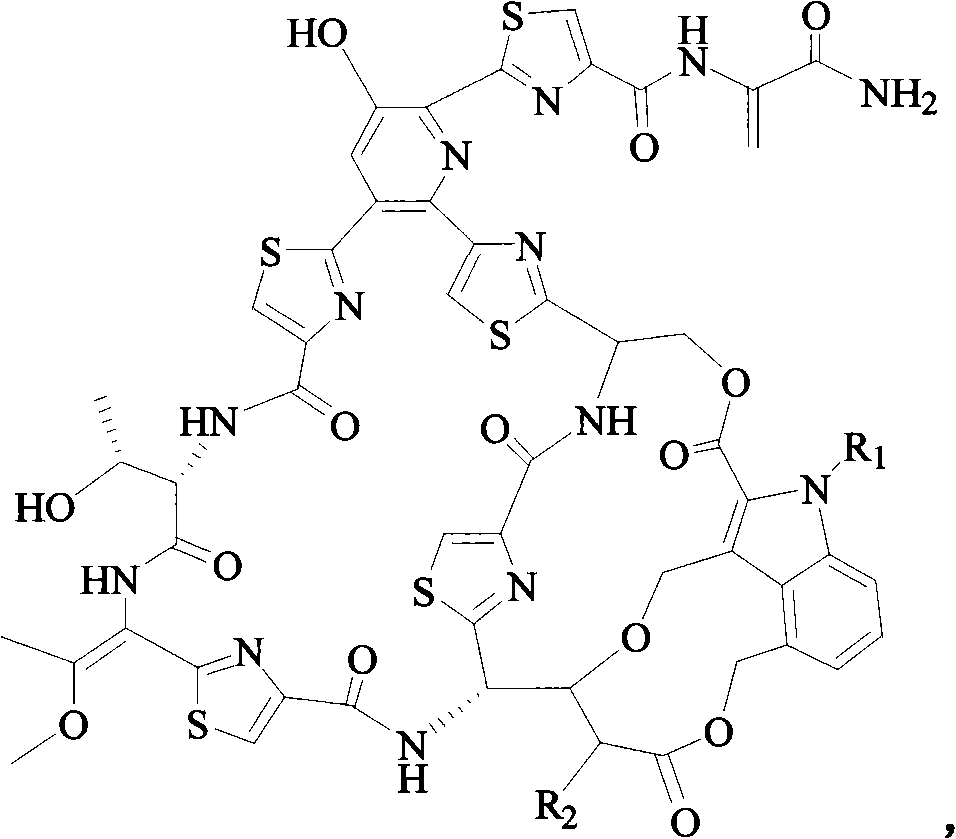 Medicinal composition containing lipid material nocathiacin antibiotic