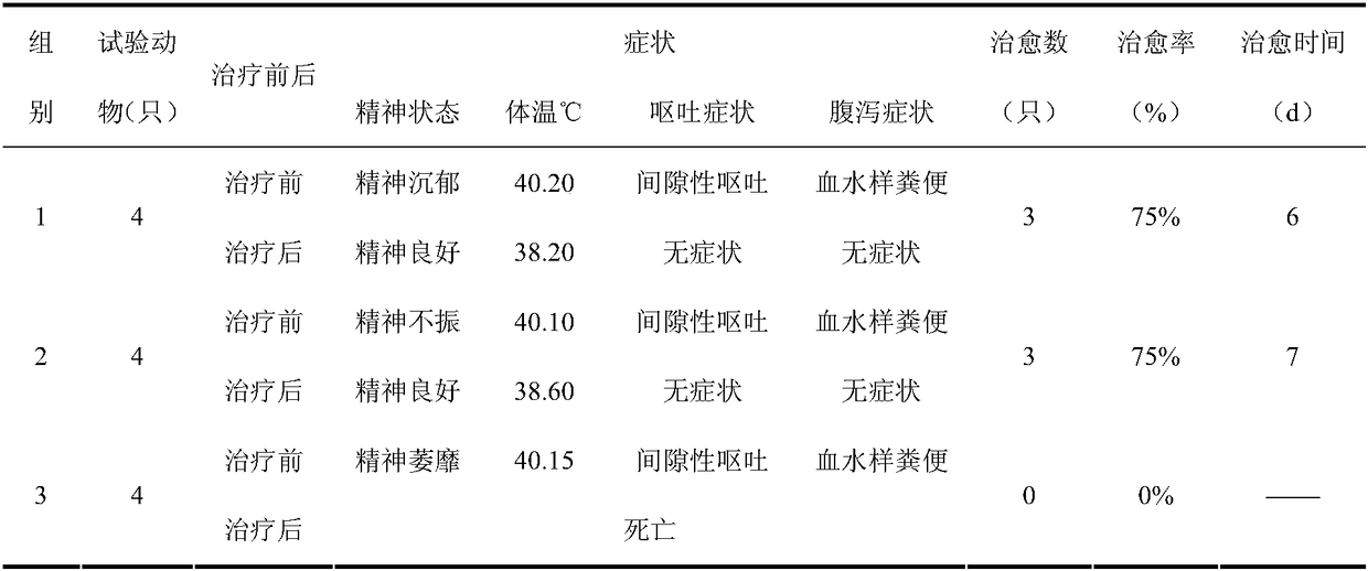 Preparation method of therapeutic antibody for feline distemper