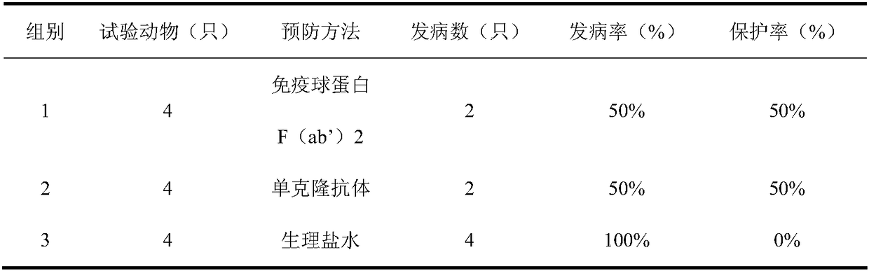 Preparation method of therapeutic antibody for feline distemper