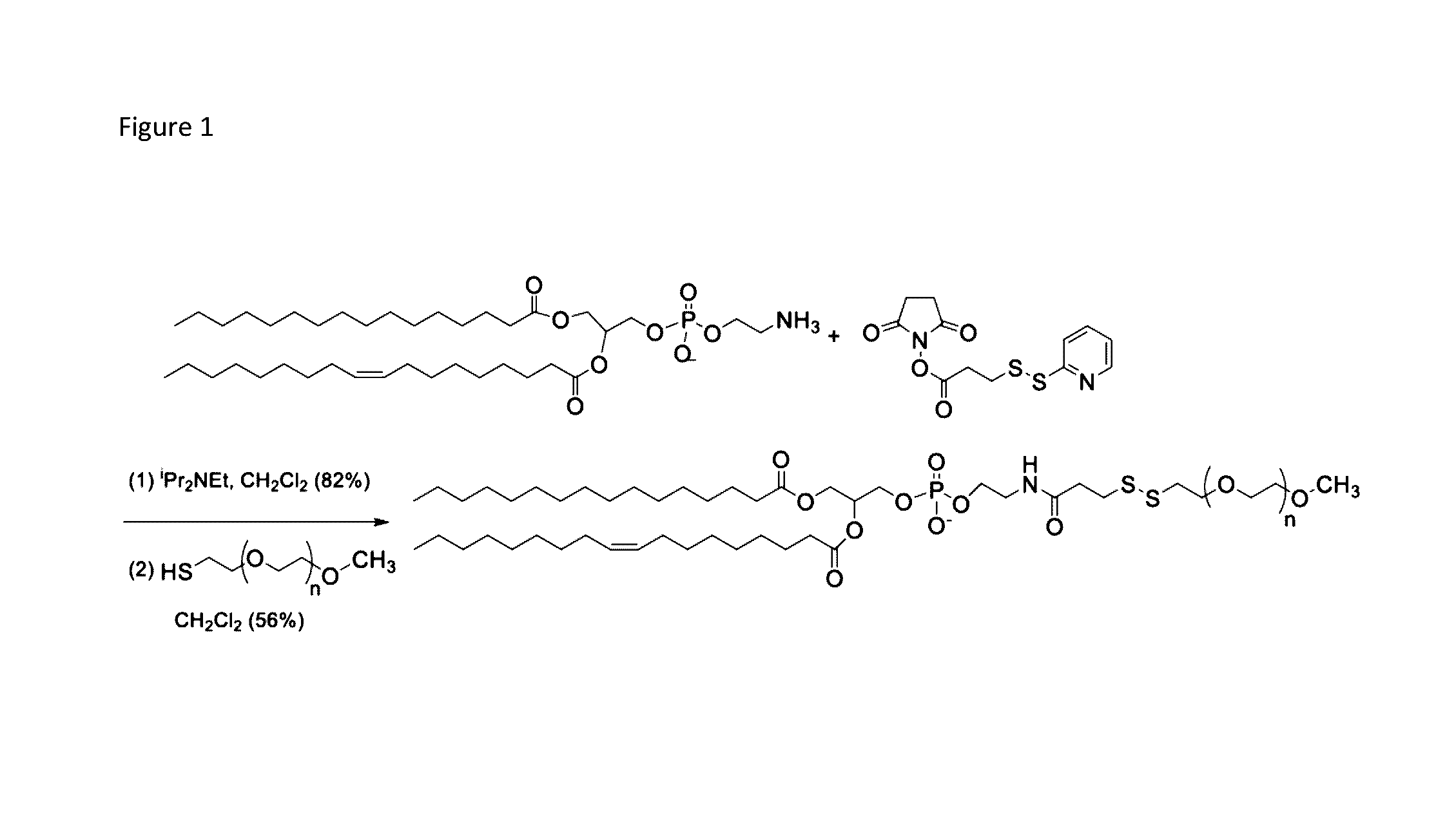 Controlled release nanoparticles and methods of use