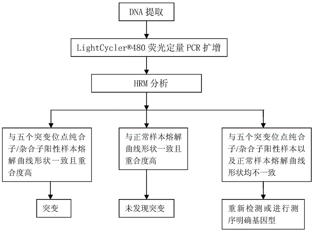 Kit for rapidly detecting five beta-thalassemia mutations and application thereof