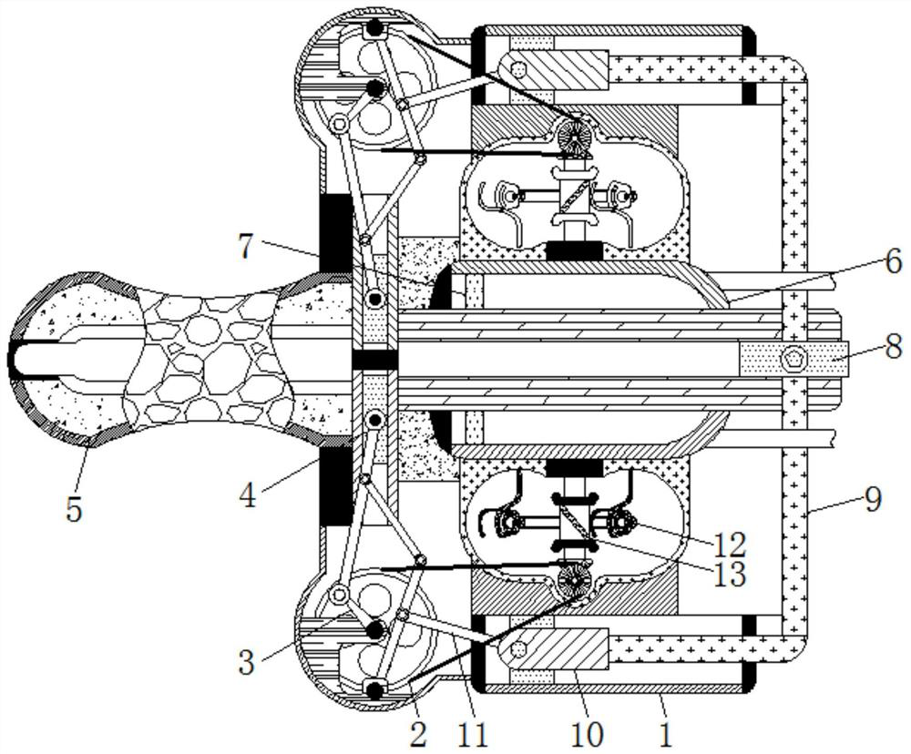 Device for solving the problems of low safety and incapability of quantitative medicine feeding during livestock and poultry medicine feeding