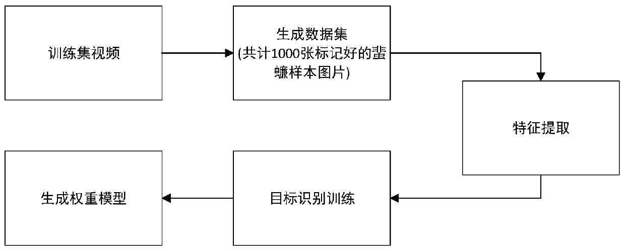 Cockroach mating behavior analysis method and system, and storage medium